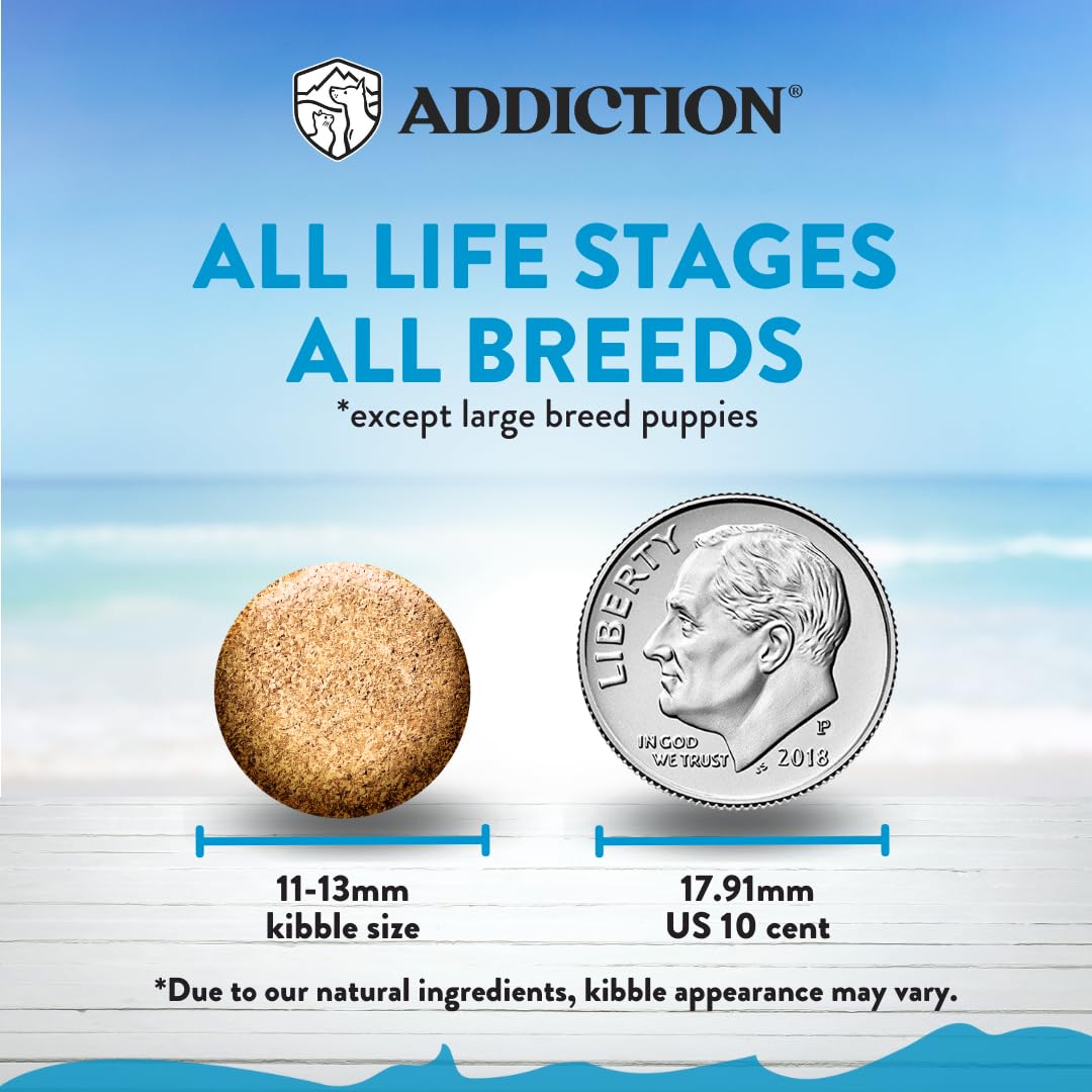 Addiction Salmon Bleu Grain-Free Dry Dog Food - Rich in Prebiotics to Support Skin, Coat & Cognitive Health - Salmon Recipe for All Dog Life Stages - Made in New Zealand 20 lb