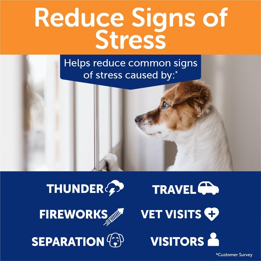 ThunderWunders Hemp Dog Calming Chews | Vet Recommended for Situational Anxiety | Fireworks, Thunderstorms, Travel & More | Made with Hemp Seed, Thiamine, L-Tryptophan, Melatonin & Ginger (180 Count)