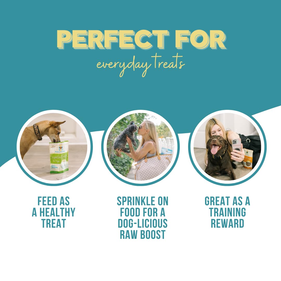 Remy’s Kitchen Just Beef Freeze Dried Dog Treats USA Sourced and Small Batch Made - Human-Grade, All Natural Single Ingredient Dog Treat Without Artificial Preservatives, Grain Free - 3 oz