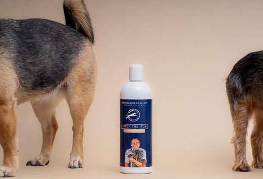 Dr. Jeff Werber What Itch? Shampoo - Soothing and Soap Free Oatmeal Pet Shampoo for Itching, Flaking, and Irritation - Skin Care for Cats and Dogs of Different Breeds and Sizes - 16oz