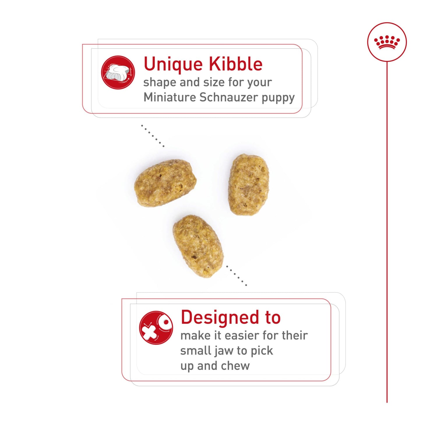 Royal Canin Breed Health Nutrition Miniature Schnauzer Puppy Dry Dog Food, 2.5 lb Bag