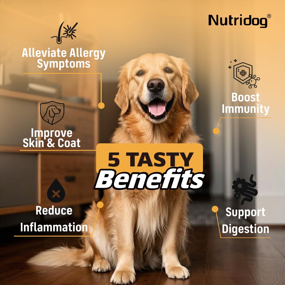 Nutridog Allergy Chews for Dogs - Dog Itching Skin Relief & Seasonal Allergy Support with Chamomile, Salmon Oil, Quercetin - Probiotic Dog Allergy Relief Treats, Chicken Flavor (90 Count, Chicken)
