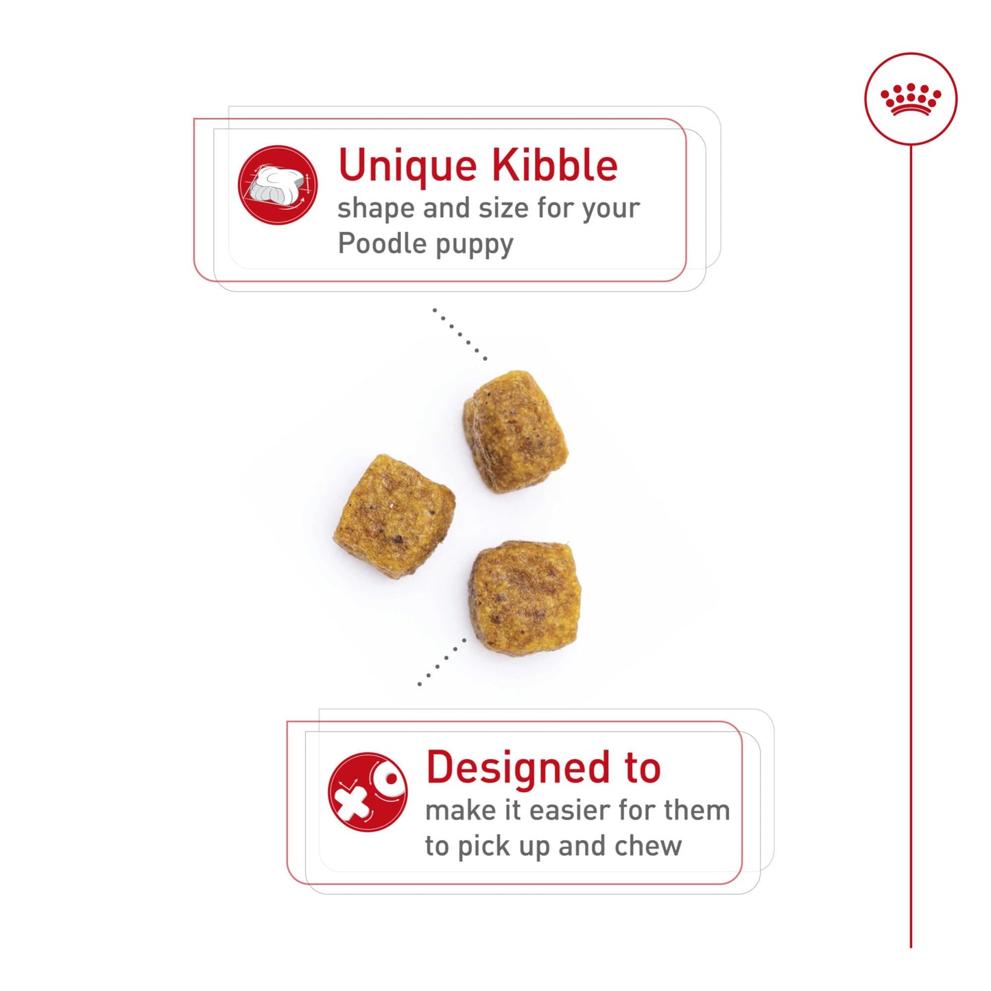 Royal Canin Breed Health Nutrition Poodle Puppy Dry Dog Food, 2.5 lb Bag