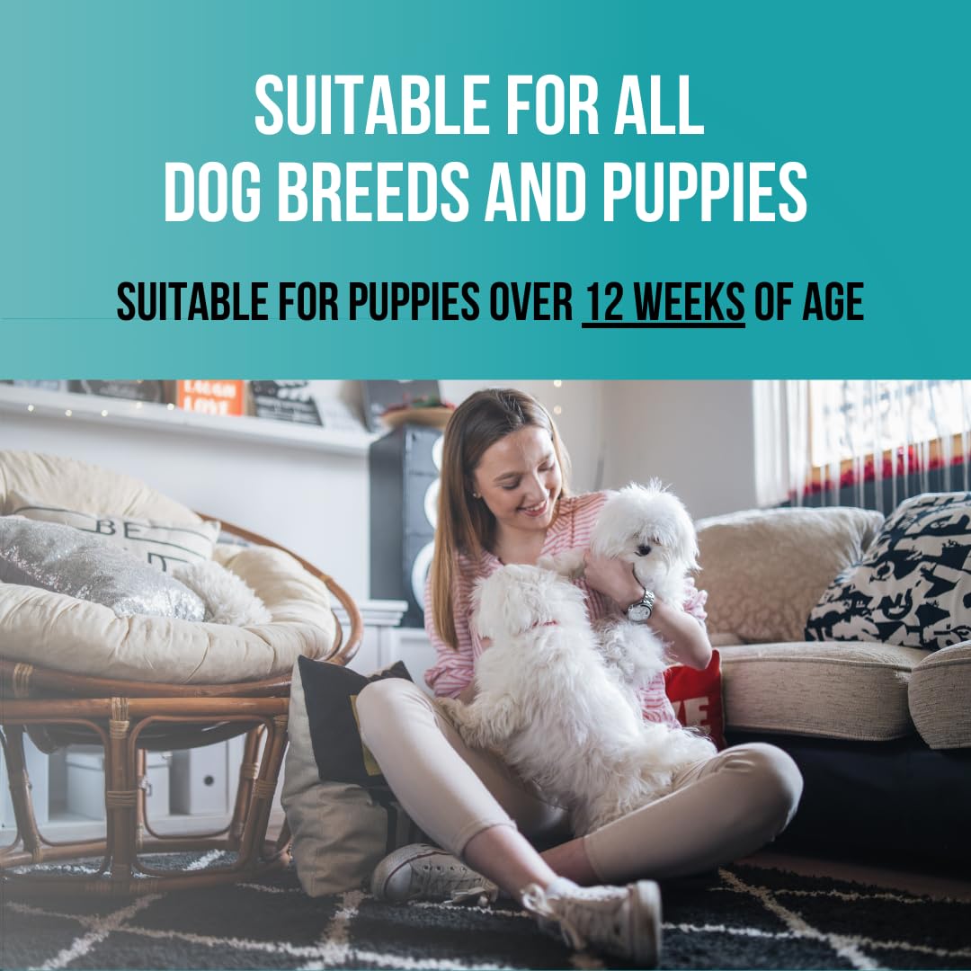 PET CARE Sciences 16 fl oz Tearless Puppy Shampoo and Conditioner - Anti Itch Dog Shampoo Sensitive Skin - Coconut Oil Oatmeal Pet Shampoo for Puppies, Made in The USA