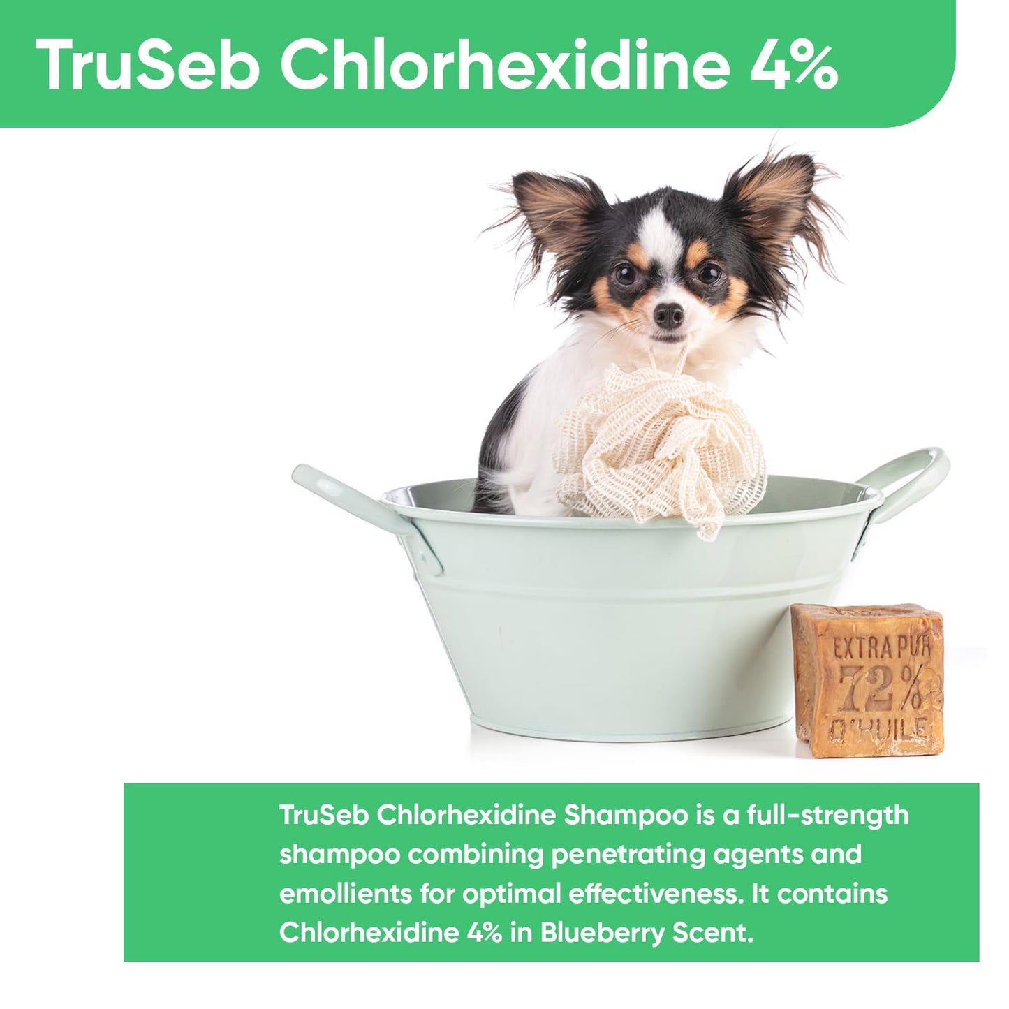 Topical Chlorhexidine 4% Shampoo for Dogs, Cats & Horses (Gallon)- with Aloe for Cleansing (USA) (Chlorhexidine 4% Shampoo, 1 Gallon)