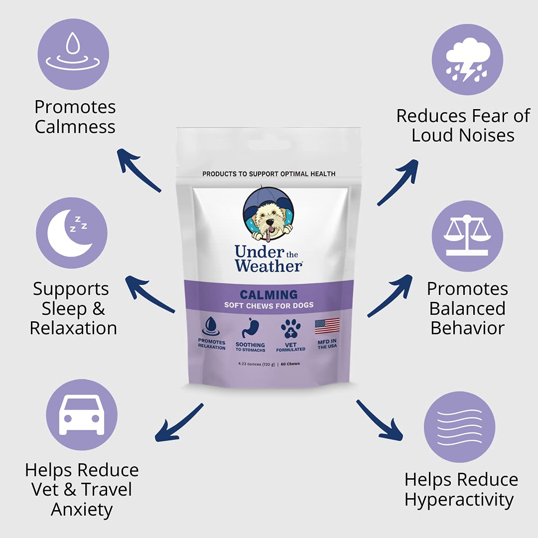 Under the Weather Pet Soft Dog Chew Supplements for Calming and Probiotics | Supports Relaxation and Normal Emotional Balance in Dogs (Calming, 60 Count)