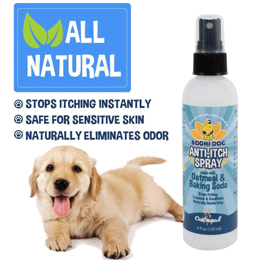 Bodhi Dog Itch Relief Spray - Natural Relief for Dry, Itchy, Allergic, or Bug-Bitten Skin - Safe for Dogs & Cats - Soothing Oatmeal Formula - Made in USA (Oatmeal, 4 Fl Oz)