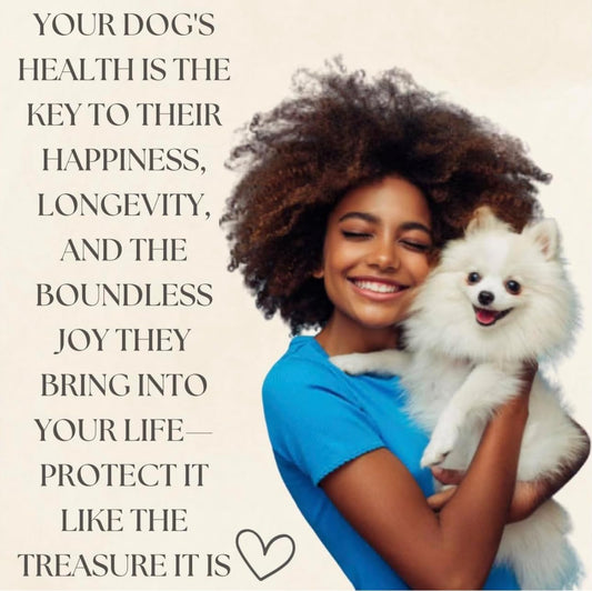 Dogs Immune Support Mushroom Supplement - Supports Longevity, Cognition, Joint, Cellular & Gut Health - All Natural Organic, GrainFree - Aid for Lumps and Bumps, Chicken Flavor - 90 Chews