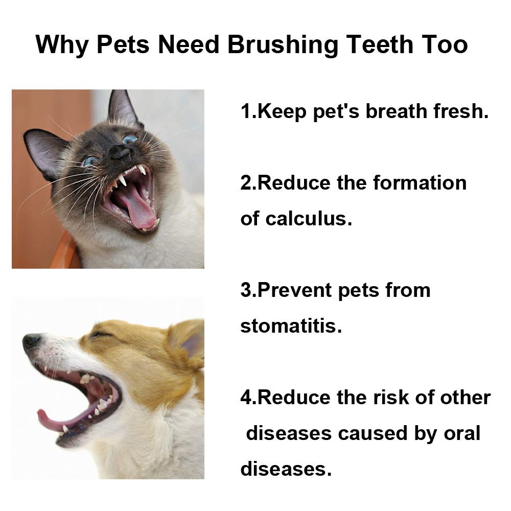 KnocKconK Three Sided Dog Toothbrush Kit, 2 Size Dog Toothbrush for Adult Puppy with Small Soft Head, Pet Teeth Deep Clean Dense Brush, Small Tooth Cleaning (Blue+Pink, 3 Side Soft)