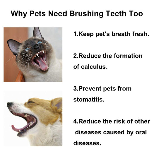 KnocKconK Three Sided Dog Toothbrush Kit, 2 Size Dog Toothbrush for Adult Puppy with Small Soft Head, Pet Teeth Deep Clean Dense Brush, Small Tooth Cleaning (Blue+Pink, 3 Side Soft)