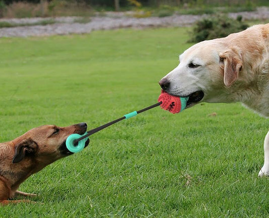 Rope and Ball Dog Toy - Interactive Tug of War - Durable for Small Medium Large Breeds - Tough Dog Toys to Keep Them Busy - Indestructible Dog Toy Aggressive Chewers - Dog Toys Boredom