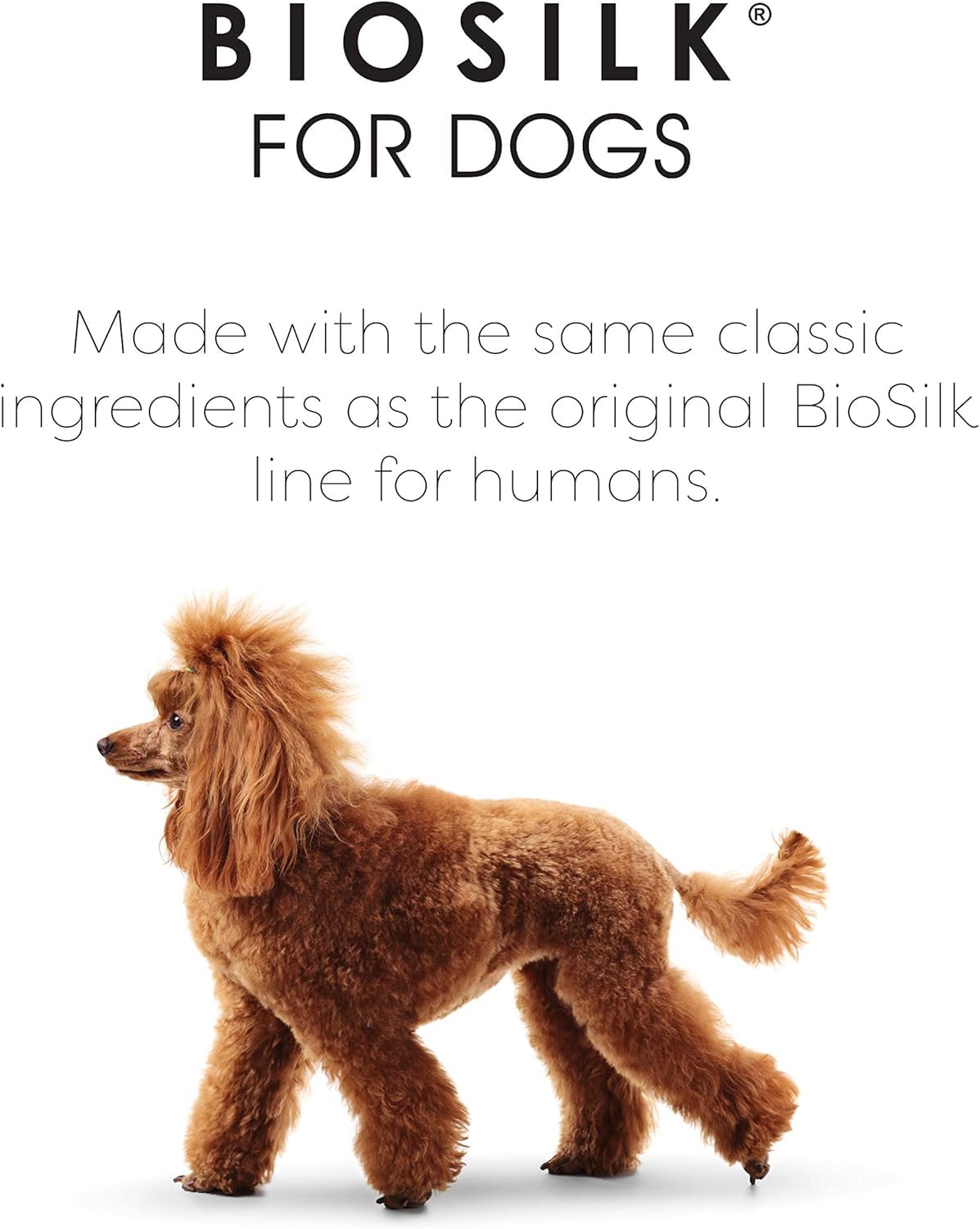 Unscented Dog Shampoo for Sensitive Skin by Shiny Paw 16 oz | Hypoallergenic Tearless Dog Shampoo Itchy Skin Relief | Dandruff Free | Made in USA