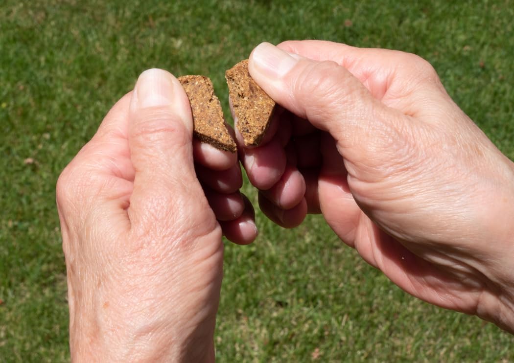 Darford - Zero/G Roasted Chicken Recipe Dog Treats, 12Oz Pouch