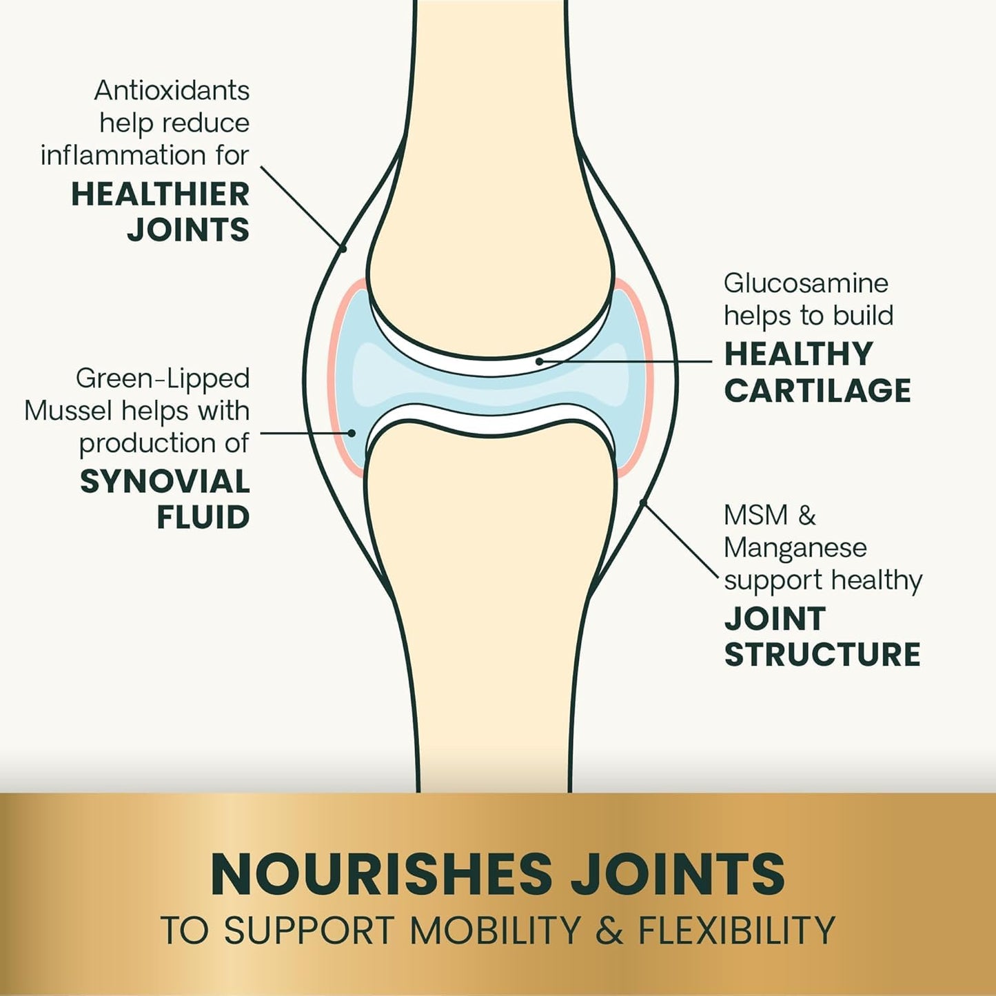 VetriScience Ultimate Strength Healthy Hip & Joint Chews, GlycoFlex Glucosamine, Chondroitin and Green-Lipped Mussel Joint Support Supplement for Dogs, Soothe Discomfort, Bacon, 60 Chews