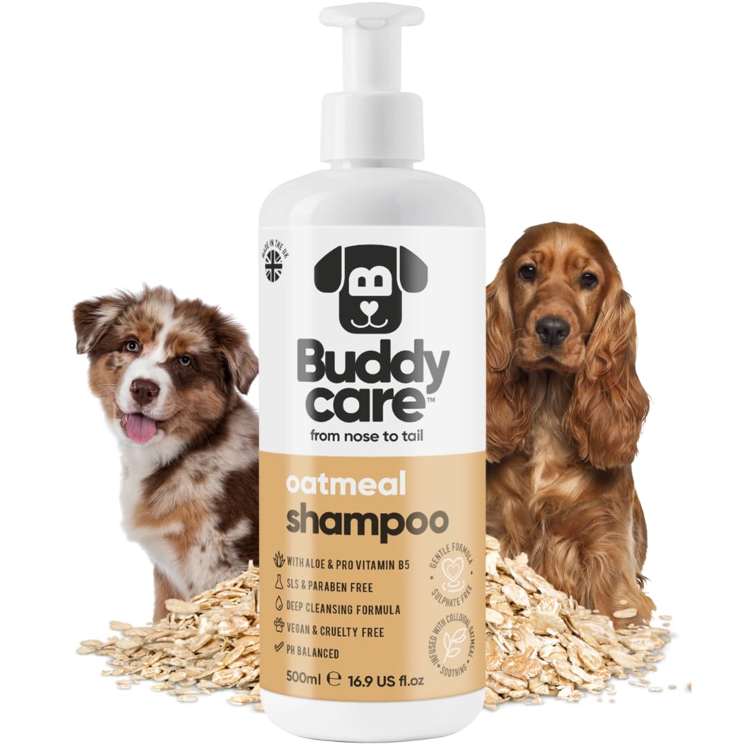 Buddycare Oatmeal Dog Shampoo for Smelly Dogs (16.90oz) - Hypoallergenic & Itch Relief Formula, Gentle on Sensitive Skin, Includes Dog Shampoo and Conditioner - Essential Dog Grooming Supplies