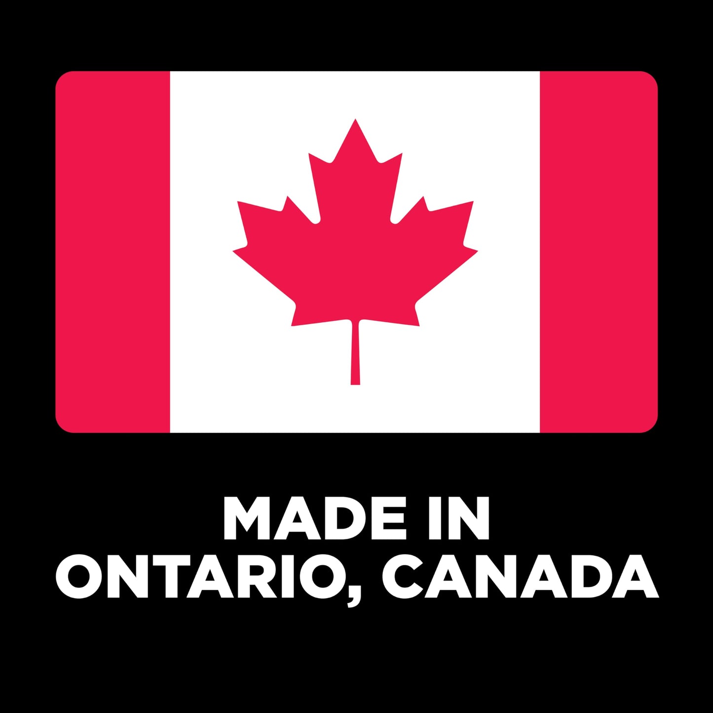 Go! Solutions Carnivore, Grain-Free, Protein Rich Dry Dog Food, Salmon and Cod Recipe, 3.5 lb Bag