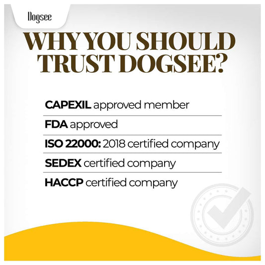 Dogsee Blueberry Flavor Himalayan Yak Cheese Dental Chews for Dogs - (Large 4)| Dog Treats Healthy | Cleans Teeth & Freshens Breath | No Grain, No Gluten | Dog Chews Rawhide Free