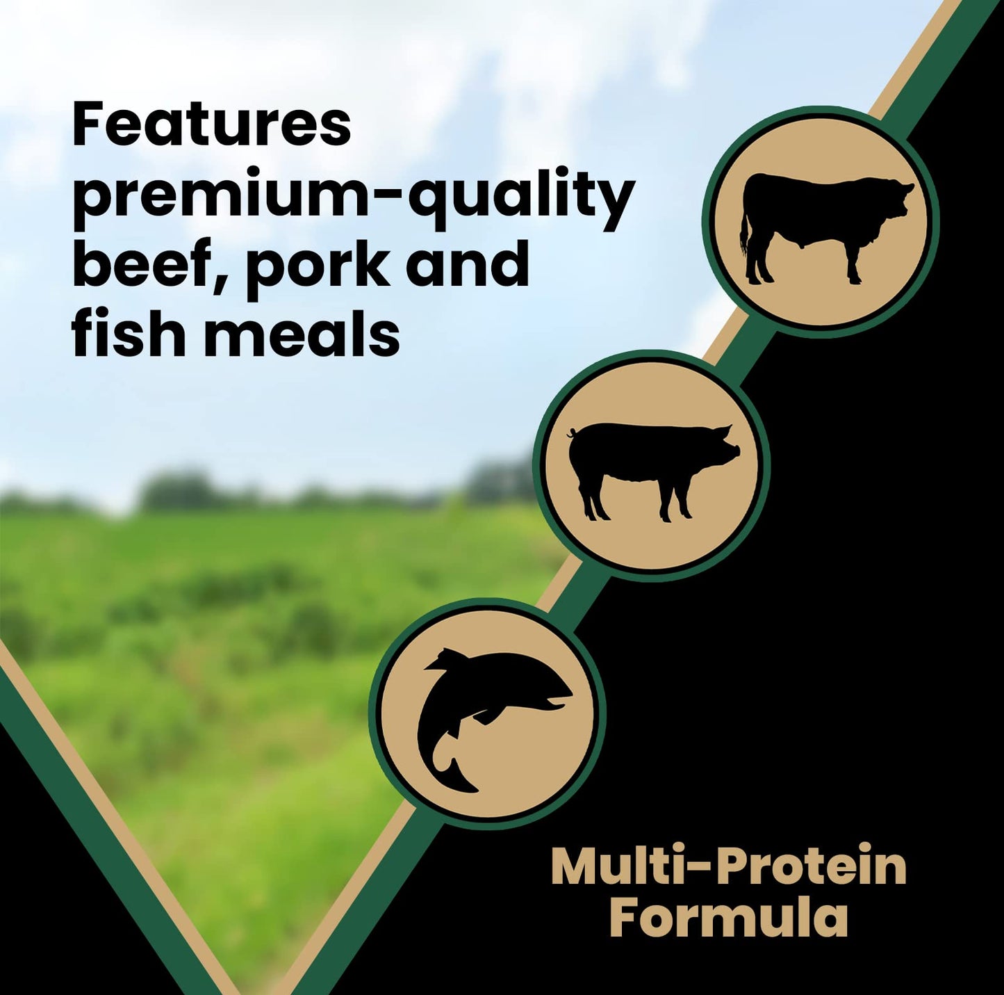 VICTOR Super Premium Dog Food – Purpose Hero Canine Kibble – Premium Gluten Free Dog Food for Active Adult Dogs – High Protein with Glucosamine and Chondroitin for Hip and Joint Health, 5lbs