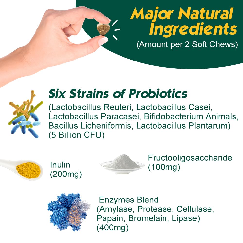 PetriMins Advanced Probiotic for Dogs, Supports Digestive Health, Immune Health, Gut Health, Improves Nutrient Absorption - Six Strains of Probiotics - Inulin - Enzyme Blend, 90-Count, Bacon