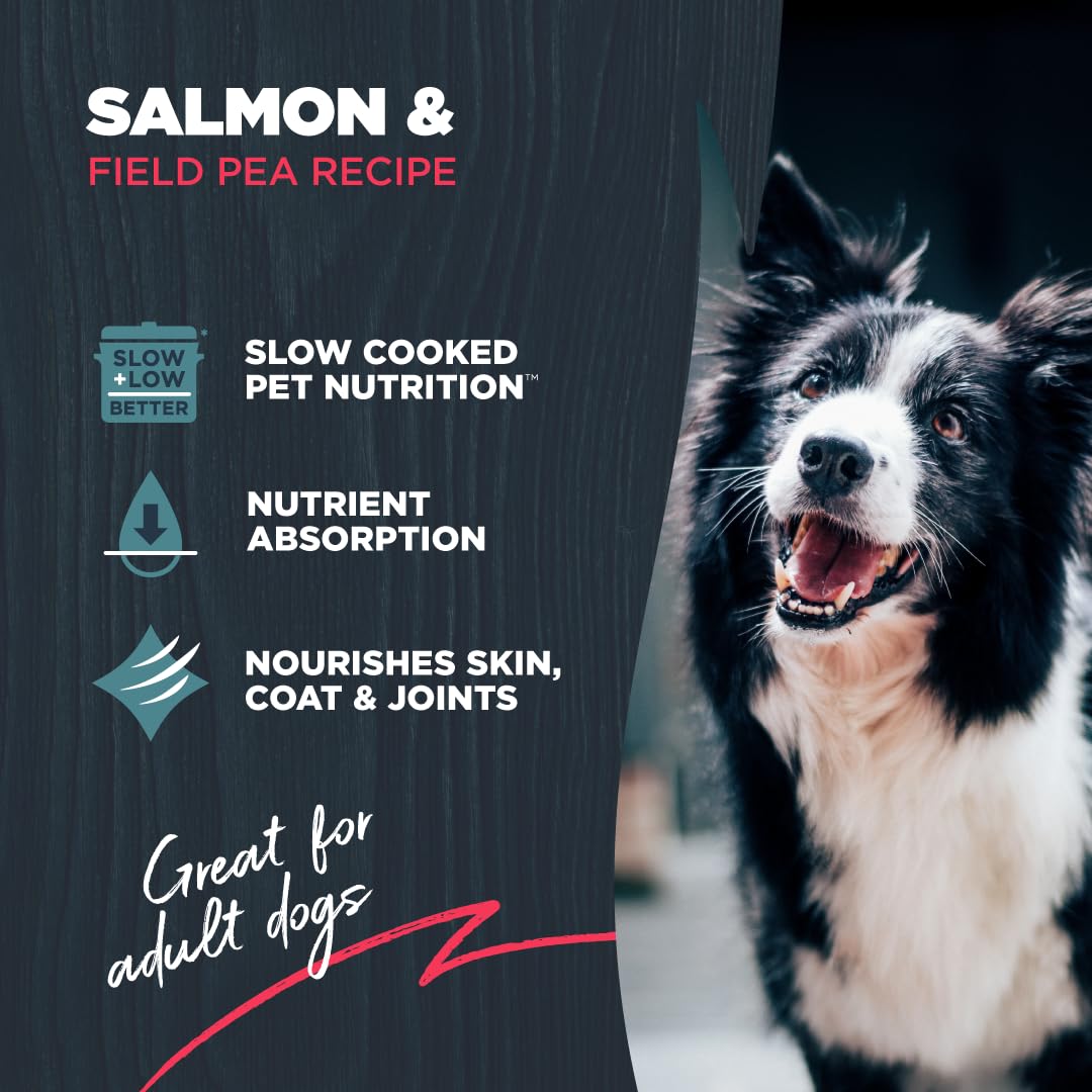 Blackwood Grain Free Dry Dog Food, Salmon & Field Pea Recipe, 24 Pound Bag for All Life Stages, Slow Cooked with Vitamins & Minerals for a Balanced Diet