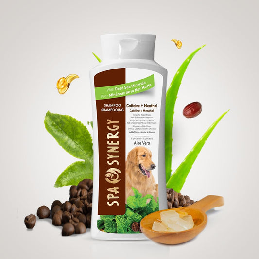 Spa Synergy Pet Dog Shampoo Natural Dead Sea Mineral Rich, Aloe Vera & Vitamin-E, Hair Repair, Stimulates Hair Roots, Refreshing - Caffeine & Menthol - (1) Bottle 16.5 FL OZ