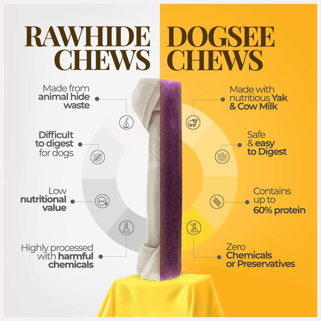 Dogsee Blueberry Flavor Himalayan Yak Cheese Dental Chews for Dogs - (Large 4)| Dog Treats Healthy | Cleans Teeth & Freshens Breath | No Grain, No Gluten | Dog Chews Rawhide Free