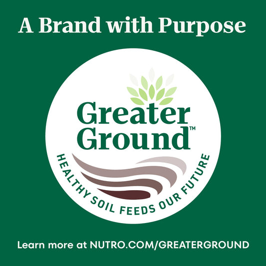 Nutro Crunchy Dog Treats with Real Mixed Berries, 10 oz. Bag