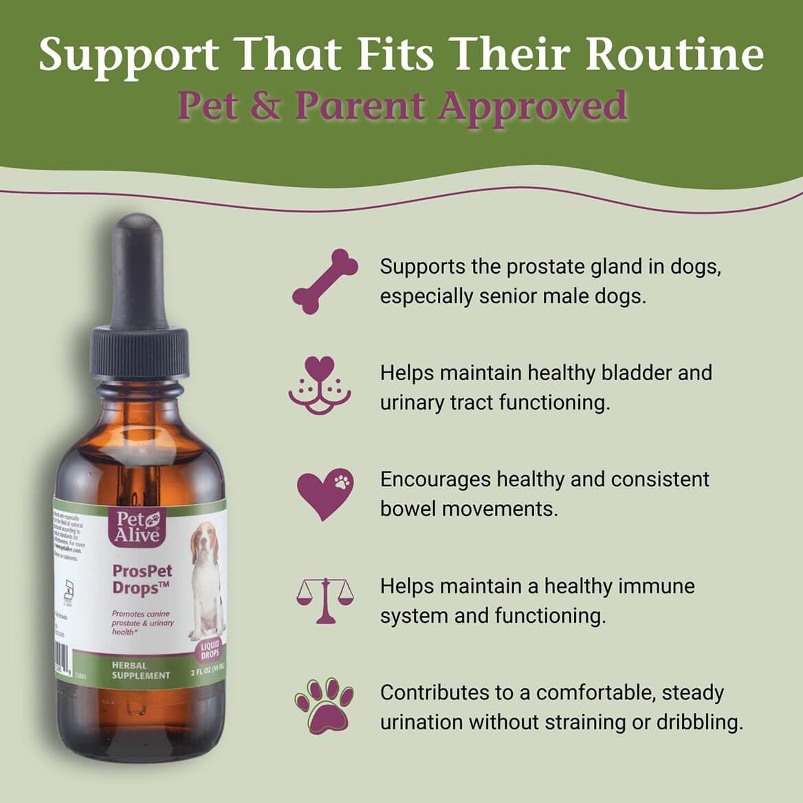 PetAlive ProsPet Drops for Pet Prostate and Bladder Health - Herbal Supplement for Dog Urinary Tract, Bladder and Immune Support - Constipation Relief - 59 ml