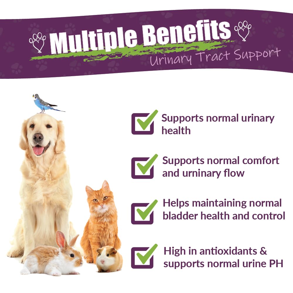 Chicken Soup for the Soul All Natural Premium Large Breed Adult Dry Dog Food, Real Meat First Ingredient, No By-Products, Supports Heart, Gut & Immune Health, Chicken, Turkey & Brown Rice, 28lb