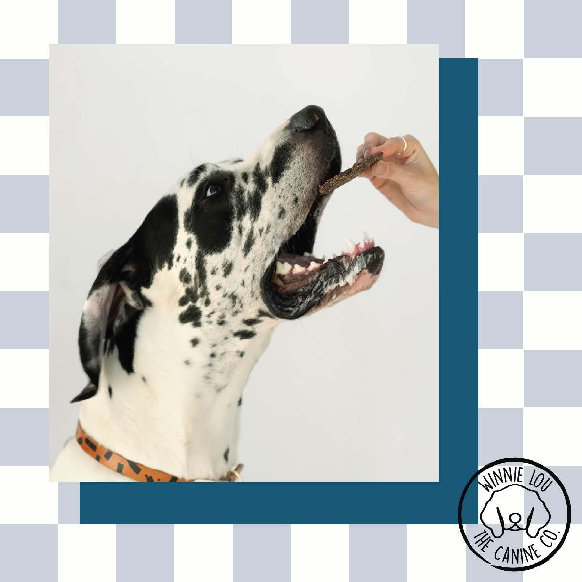 Winnie Lou Elk Jerky Dog Treats – Limited Ingredient, Human Grade, Training Treats for Small, Medium & Large Dogs, Made in USA (1 Pack)