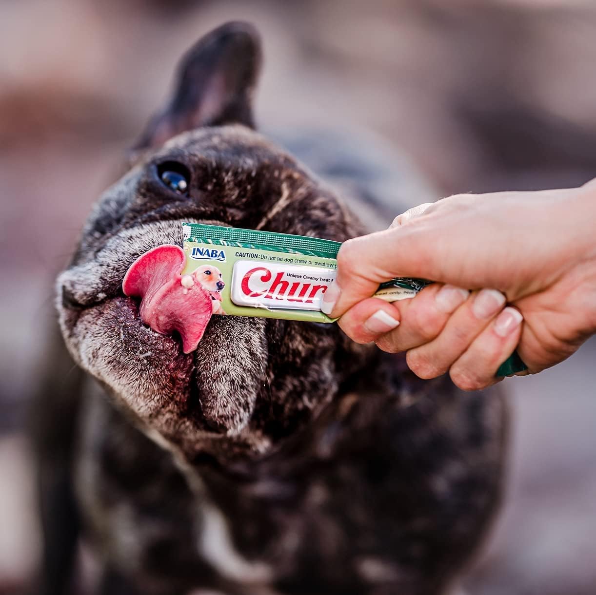 Gootoe Buffalo Dog Treats, Buffalo Bites Stick (Large) 8oz - Natural Low-Fat Chews for Training & Rewards, Limited Ingredient, Perfect for Medium Dogs, Resealable Bag