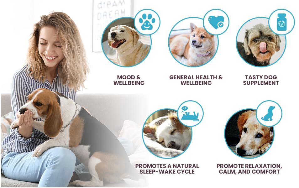 K9 Select Melatonin for Large Dogs - Composure Dog Calming Chews - Dog Melatonin for Sleep - Reduce Stress for Large Dogs - 6 mg, 90 Beef Flavored Chewable Tablets