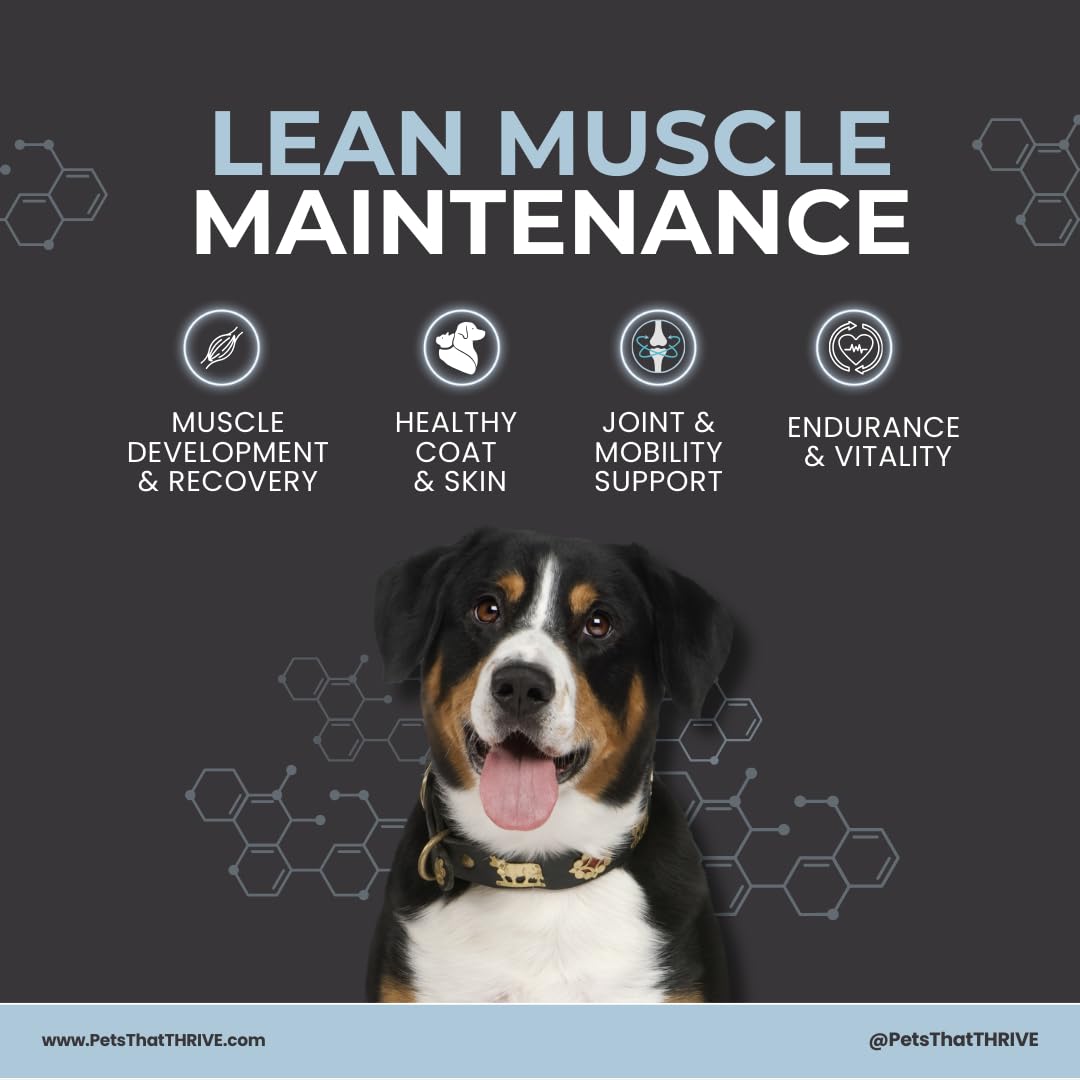 Thrive Daily - Amino Acids Supplement for Dogs - Supports Muscle Health, Energy, Healthy Joints, Skin & Coat - Suitable for Dogs All Ages & Sizes - 30 Soft Chews, 4.8oz