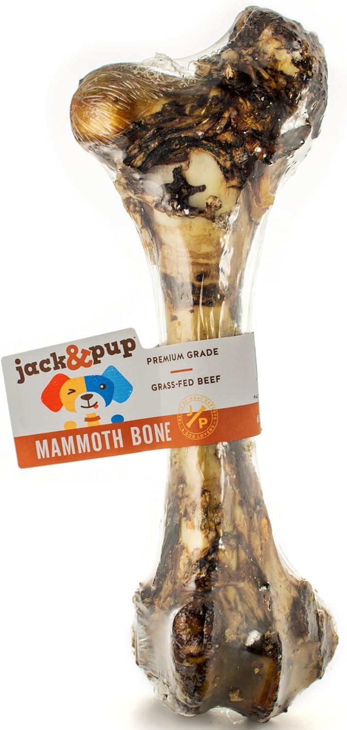 Jack&Pup Mammoth Big Dog Bones for Large Dogs, 15" Femur Beef Bones for Agressive Chewers, Natural Giant Dog Bone (1 Pack)
