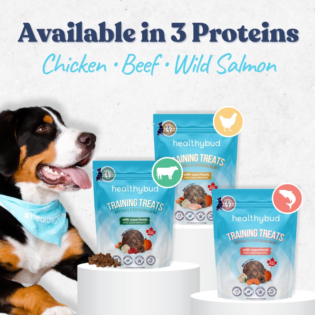 healthybud Mini Dog Training Treats - Beef Liver Soft Trainer Bites, 500+ Bits, 1 kCal per Bite, 6.5oz, Reishi, Lion’s Mane, Salmon Oil, Puppy Chews (3 Pack Beef)
