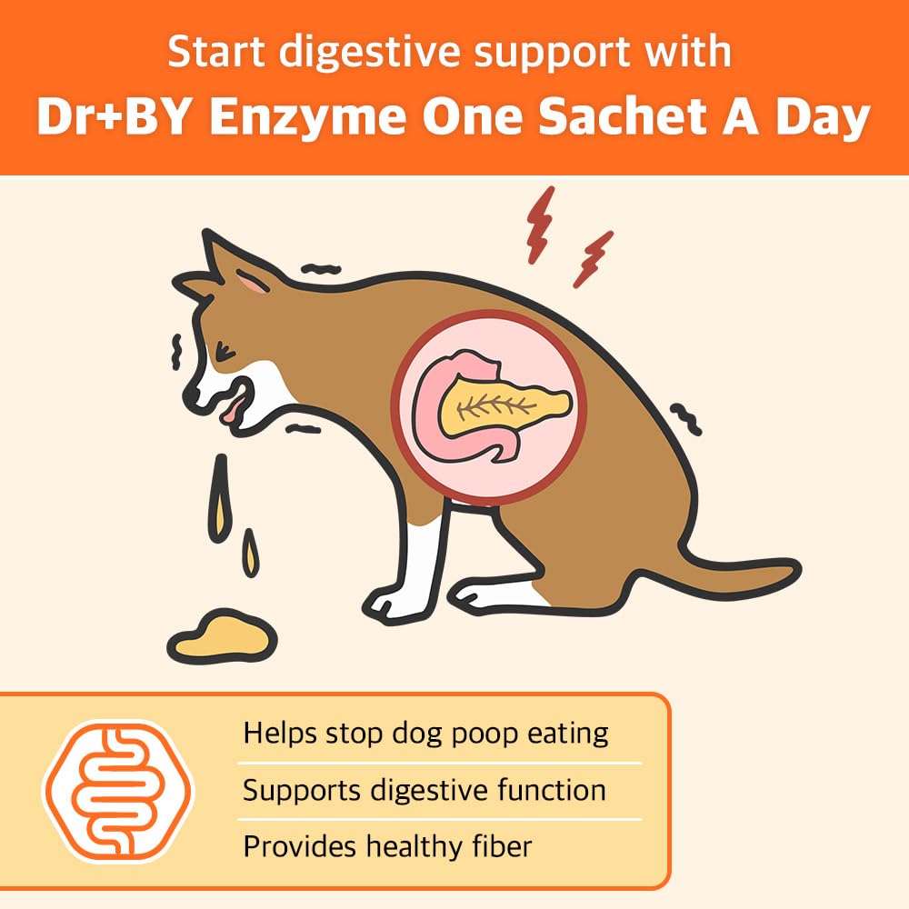 Vivus Pets Natural Vegan Dog Treats - for Immune Boosting & Skin Coat Health - All Natural Human Grade Allergen Free Ingredient - Suitable for All Breeds, 5.3 Oz