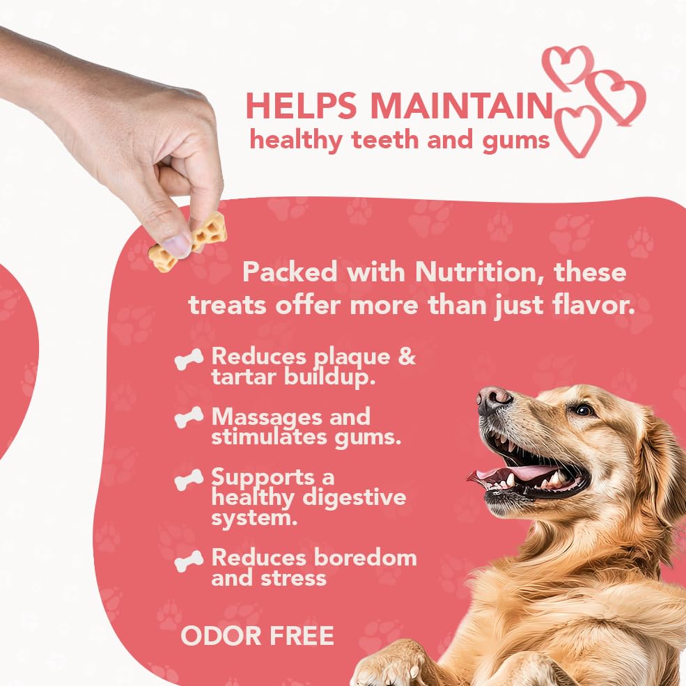 ReThink Pet Premium Honeycomb Bone Treats for Dogs, Highly Digestible & Natural Dog Treats with Irresistible Flavor That Help Reduce Plaque & Tartar Buildup, 11 Count