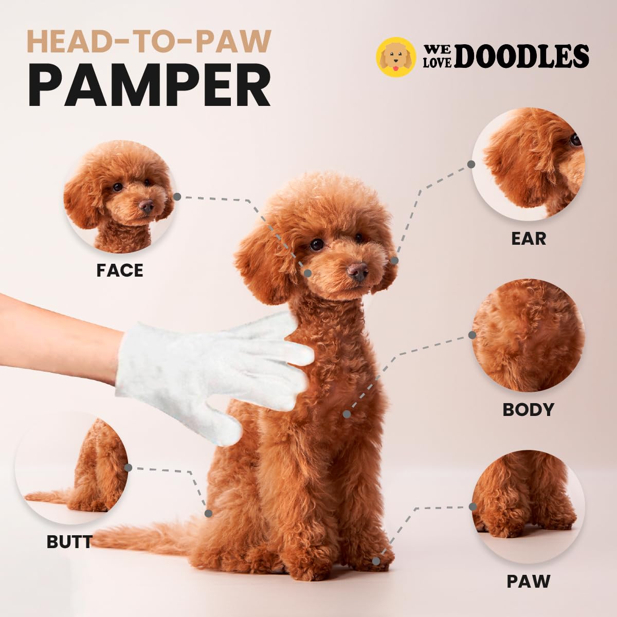We Love Doodles Dog Gloves Wipes & Dog Shampoo Bundle - Pet Bathing Wipes for Dogs, Paws, Face, Body, Ears, Shampoo for Dogs Matted Pet Hair, Sensitive Skin Shampoo for Puppies