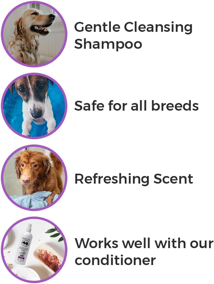 BarkLogic Calming Shampoo, Lavender, 16 fl oz | No Parabens, No Phthalates, No Sulfates, No DEA & PEG, Plant-Based