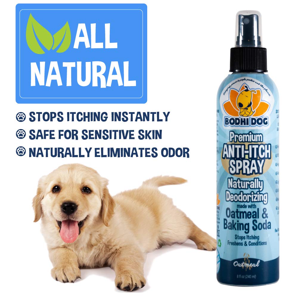 Bodhi Dog Itch Relief Spray - Natural Relief for Dry, Itchy, Allergic, or Bug-Bitten Skin - Safe for Dogs & Cats - Soothing Oatmeal Formula - Made in USA (Oatmeal, 8 Fl Oz)