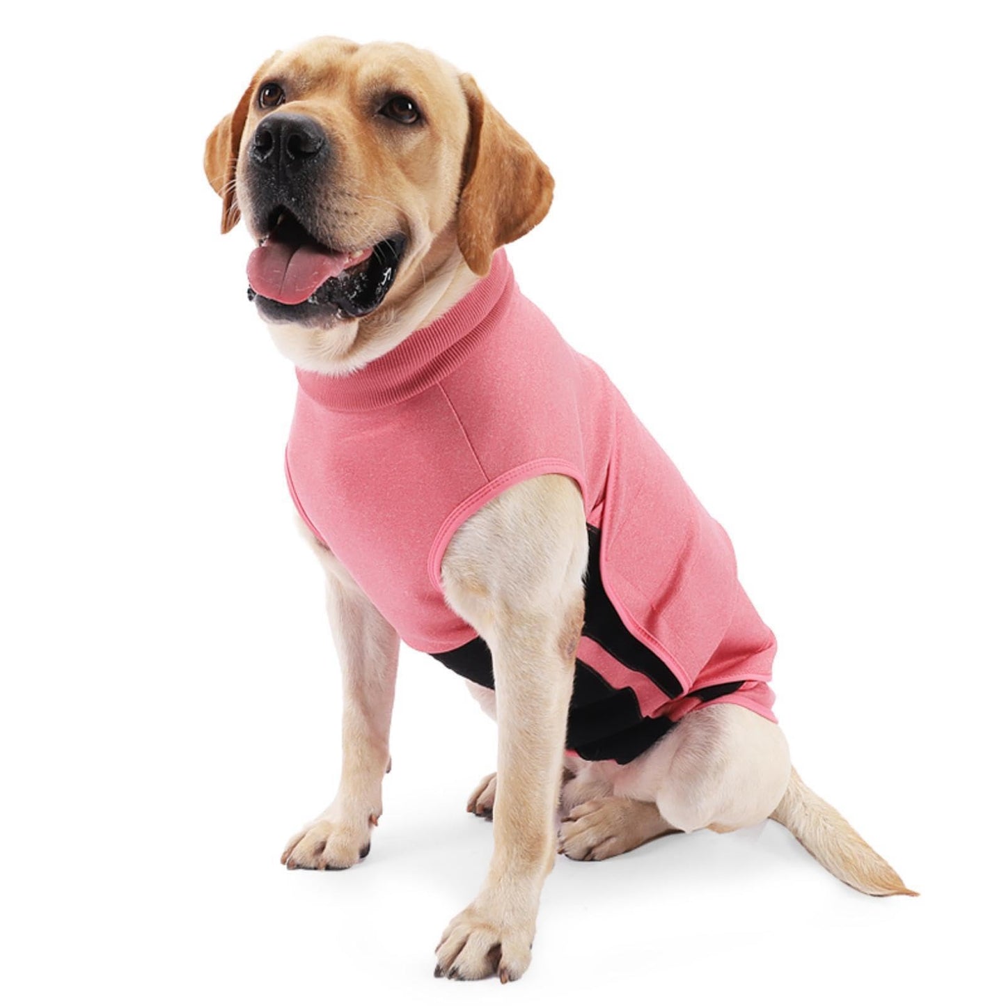 LuckyOpt Slip-Free Dog Snuffle Mat, Dog Feeding Mat Slow Feeder with Hanging Ropeand Relieve Stress, Snuffle Mat for Dogs Rabbits Hamsters to Improve Digestion (Dense Flowers)