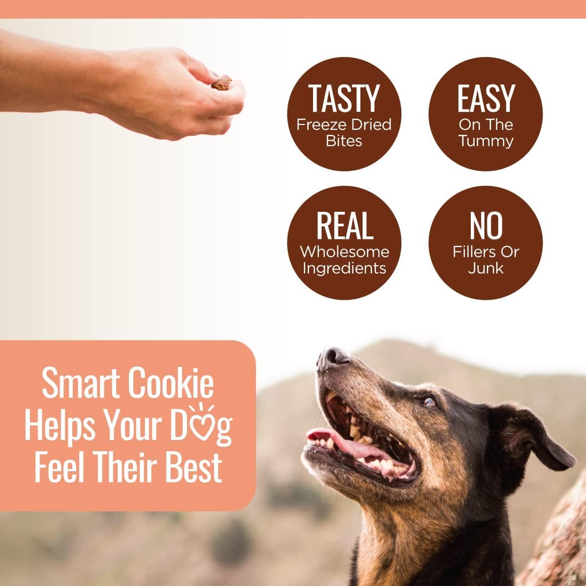 Smart Cookie Freeze Dried Salmon Bites - Single Ingredient Freeze Dried Treats for Dogs - Wild Caught Alaskan Salmon Dog Training Treats & Dog Food Topper - Made in USA - 2oz Bag, 3 Pack
