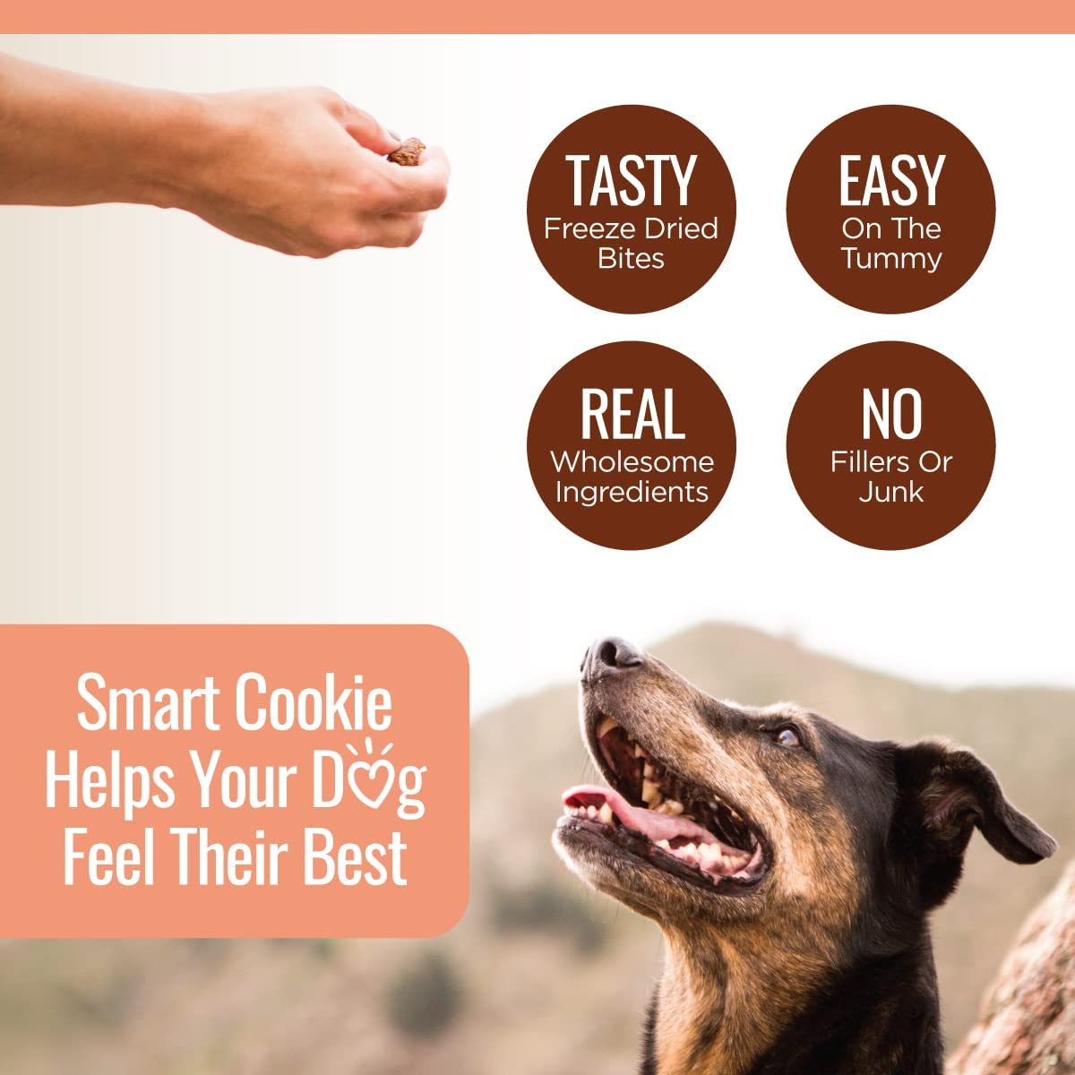 Smart Cookie Freeze Dried Salmon Bites - Single Ingredient Freeze Dried Treats for Dogs - Wild Caught Alaskan Salmon Dog Training Treats & Dog Food Topper - Made in USA - 2oz Bag, 3 Pack