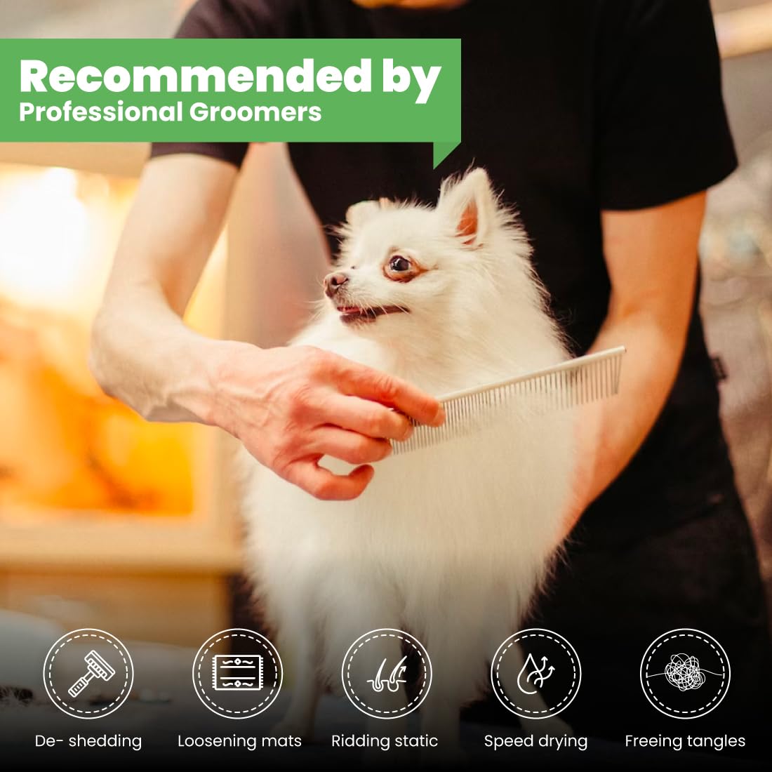 Best Shot Scentament Spa Caressing Body Wash, Fresh Apple Lily, 16 oz