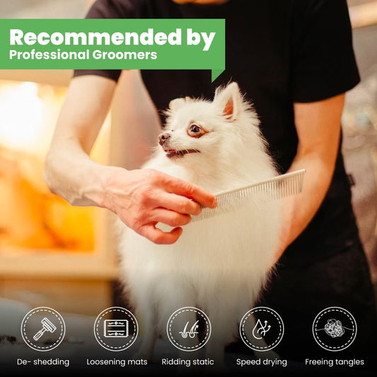 Best Shot Scentament Spa Caressing Body Wash, Fresh Apple Lily, 16 oz