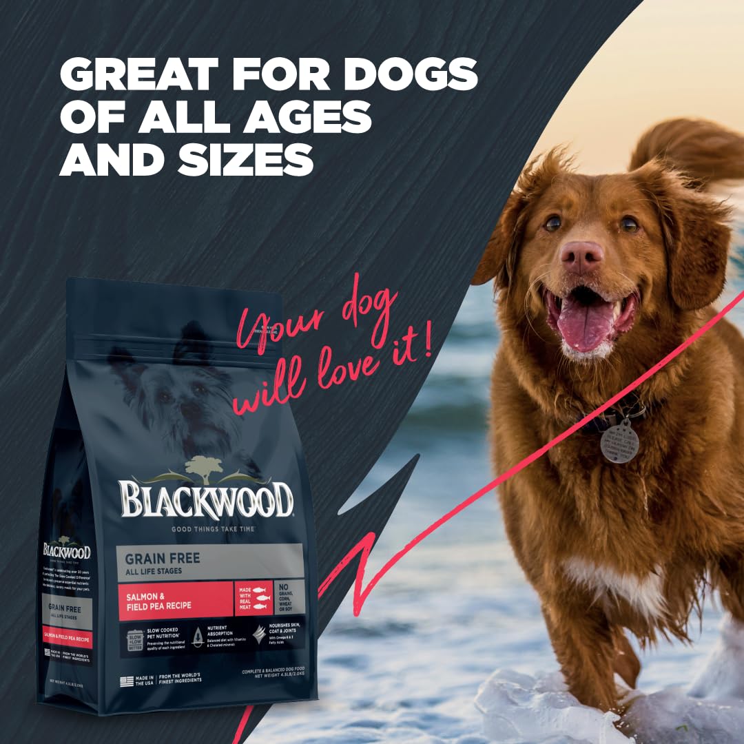 Blackwood Grain Free Dry Dog Food, Salmon & Field Pea Recipe, 24 Pound Bag for All Life Stages, Slow Cooked with Vitamins & Minerals for a Balanced Diet