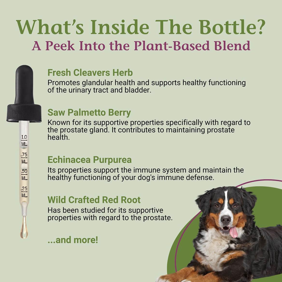 PetAlive ProsPet Drops for Pet Prostate and Bladder Health - Herbal Supplement for Dog Urinary Tract, Bladder and Immune Support - Constipation Relief - 59 ml