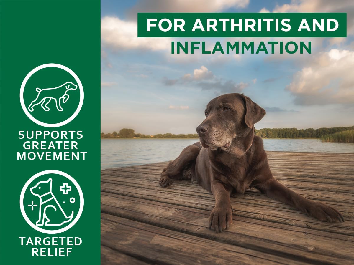 Plantonin Green Lipped Mussel for Dogs – 1325mg High Strength Hip & Joint Supplement for Dogs with Omega-3 – Supports Dog Joint Health, Mobility & Vitality – 90 Dog Joint Supplements Tablets