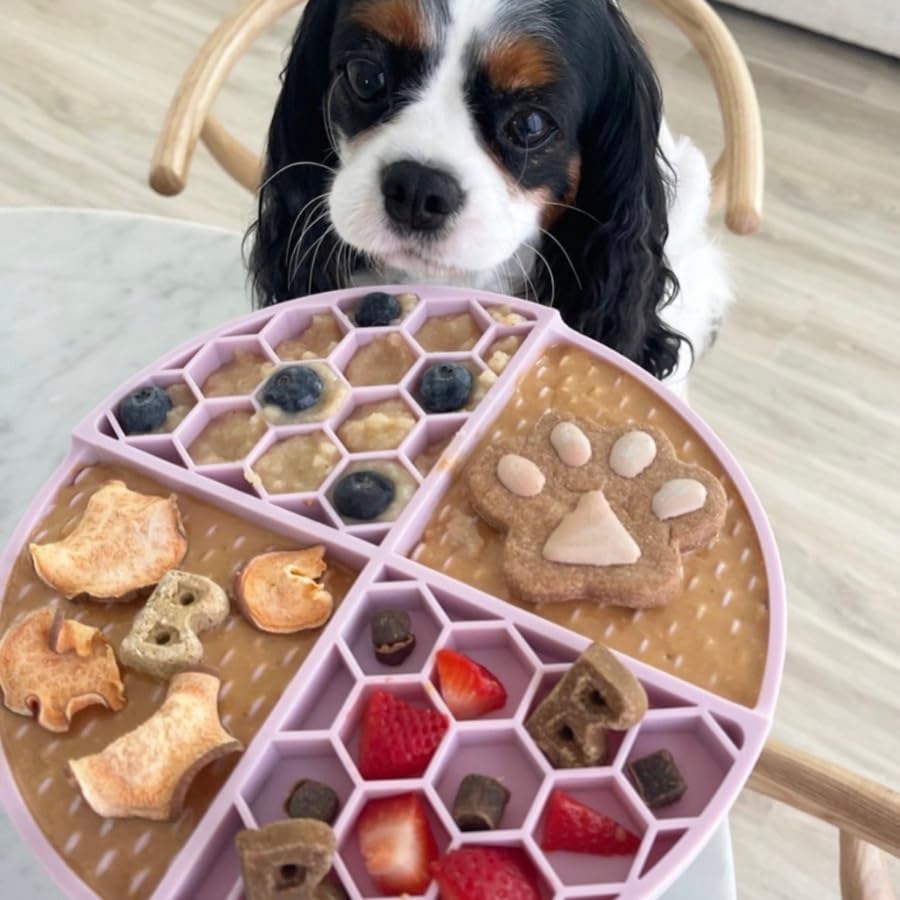 Blue Buffalo True Solutions Skin & Coat Care Natural Dry Dog Food for Adult Dogs, Salmon, 4-lb. Bag