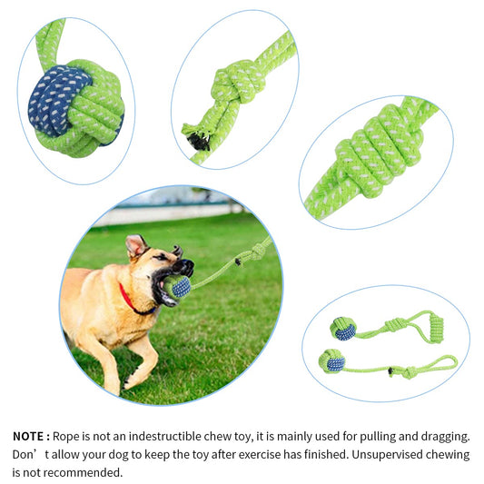 Outdoor Hanging Bungee Dog Toy - Interactive Dog Tug Toy with 2 Chew Rope Toys for Small to Large Dogs - Best for Tug of War, Bite Training, Pull Exercise, Solo Play